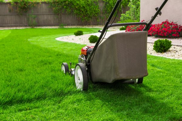 Home Yard Maintenance in Sparks