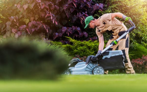 Yard Care Service in Sparks