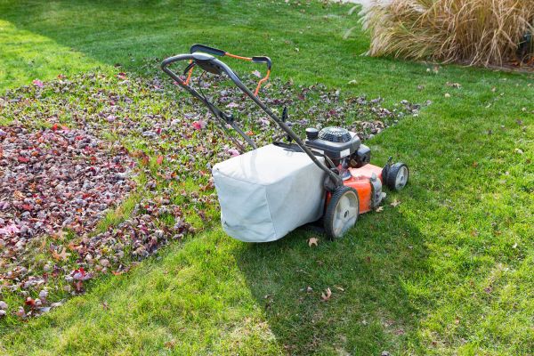 Seasonal Lawn Care in Sparks