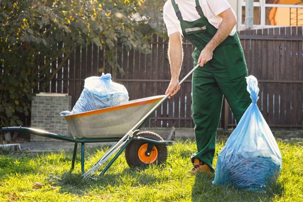 Yard Cleaning in Sparks