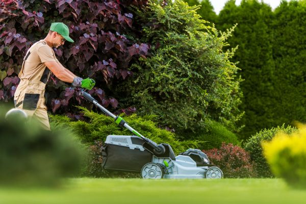 Lawn Management in Sparks