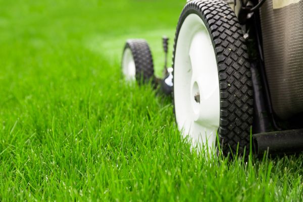 Lawn Care Maintenance