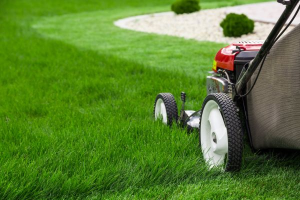 Lawn Trimming in Sparks