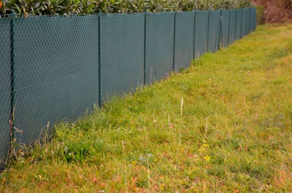 Fence Line Maintenance