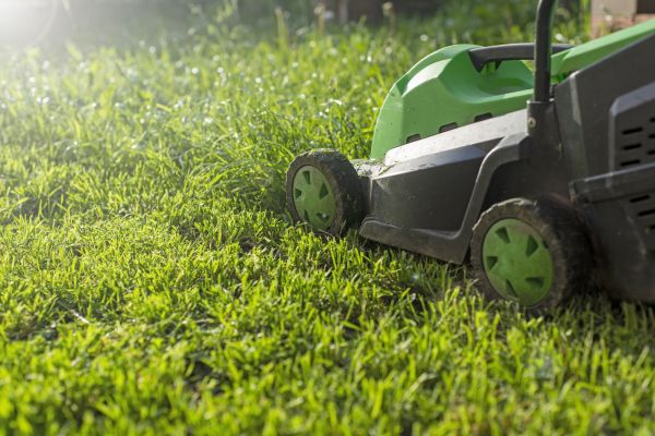 Lot Mowing in Sparks