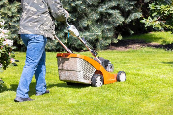 Springtime Lawn Care in Sparks