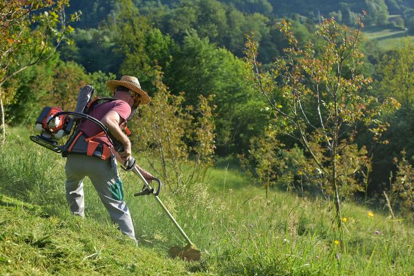 Slope Mowing in Sparks