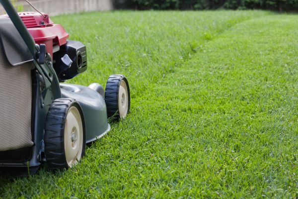 Spring Lawn Maintenance in Sparks
