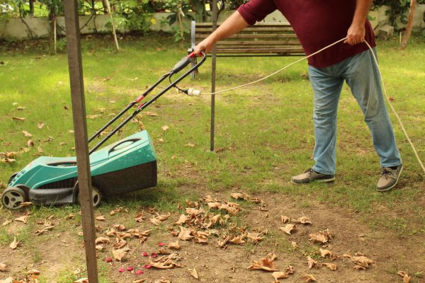 Leaves Mowing in Sparks