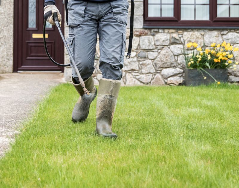 Lawn Health Maintenance