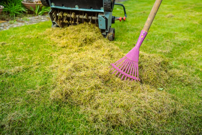 Thatch Removal Service